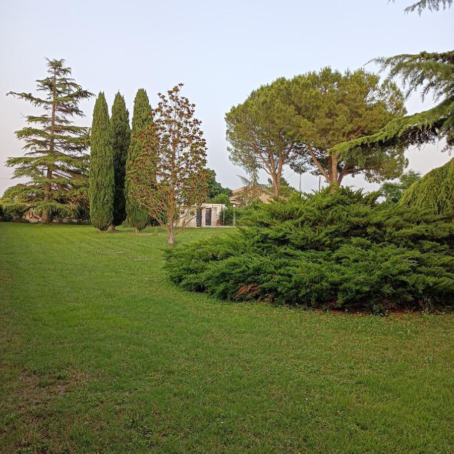Casa Michelangelo Villa Morrovalle Eksteriør billede